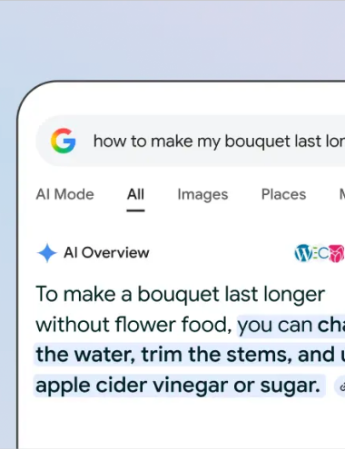 Screenshot van Google AI overview waarmee je moeiteloos een samenvatting antwoord krijgt van de vraag die je stelt.